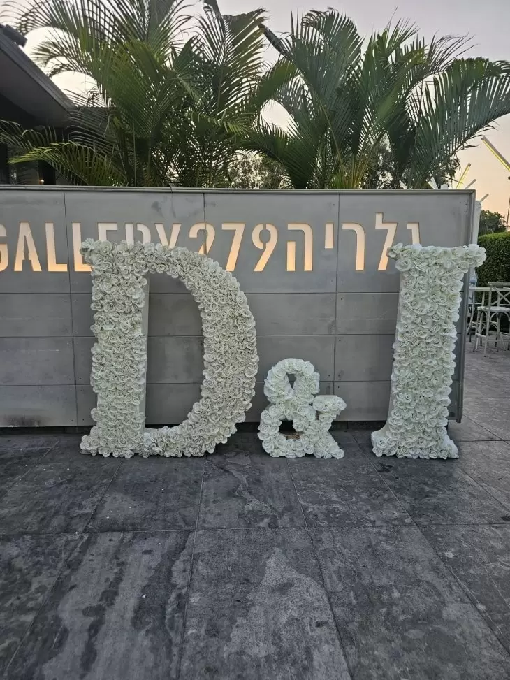 תמונה מספר 4