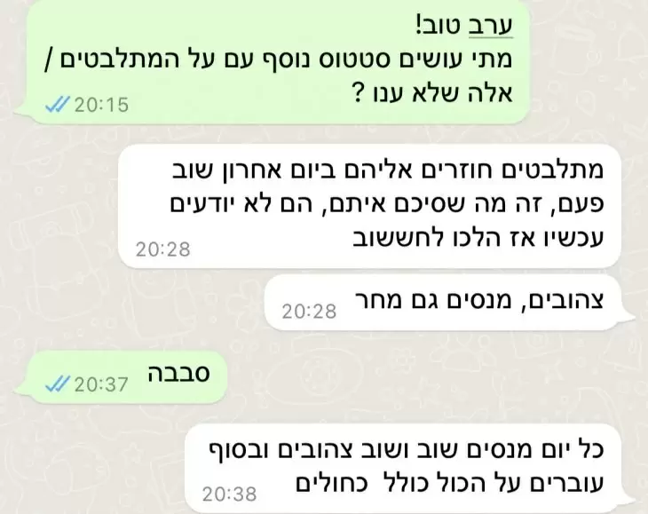 תמונה מספר 1