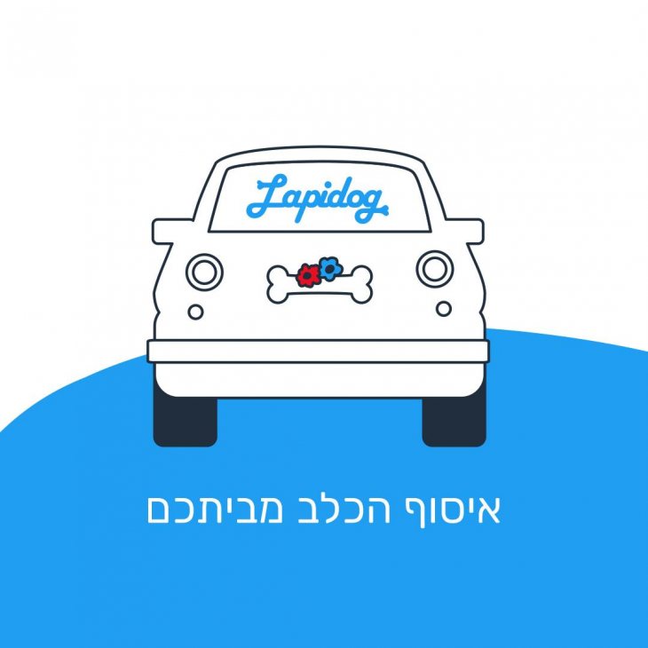 תמונה 12 של אורטל לפידוג -  אטרקציות לאירועים