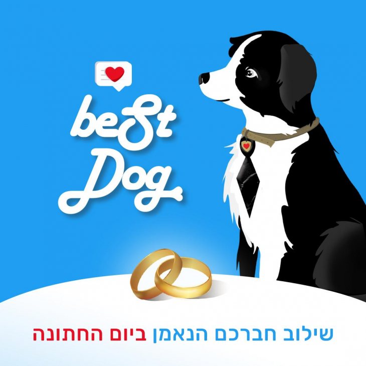 תמונה 7 של אורטל לפידוג -  אטרקציות לאירועים