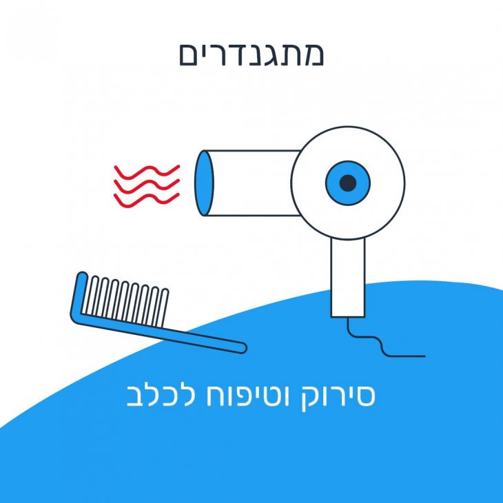 תמונה 8 של אורטל לפידוג -  אטרקציות לאירועים