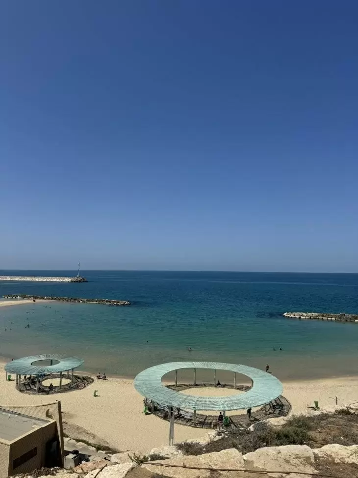 תמונה מספר 1
