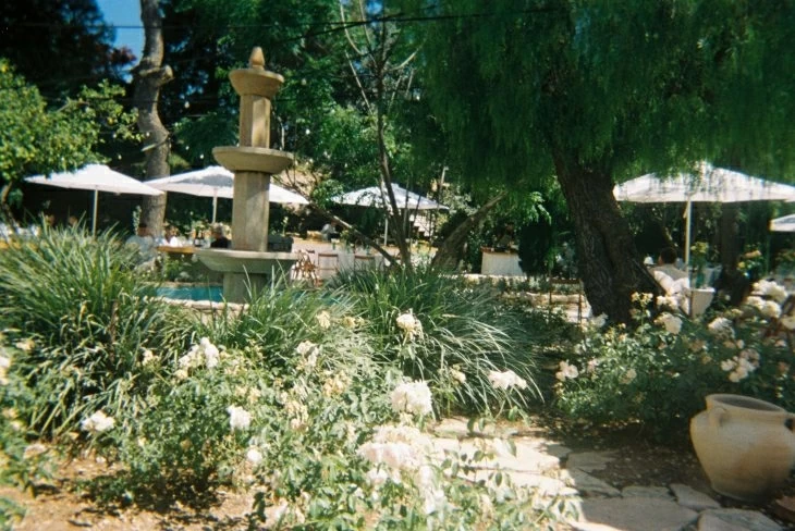תמונה מספר 3