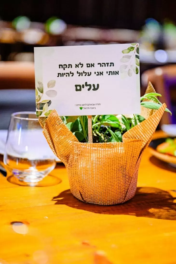 תמונה מספר 3