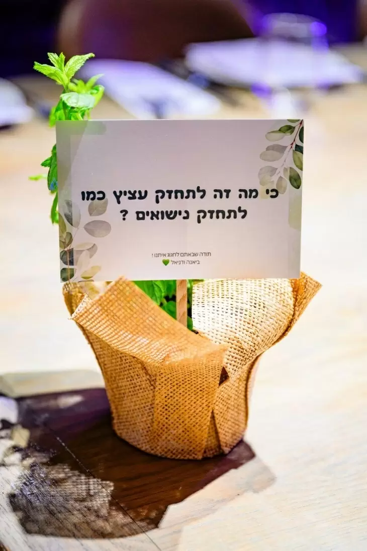 תמונה מספר 4