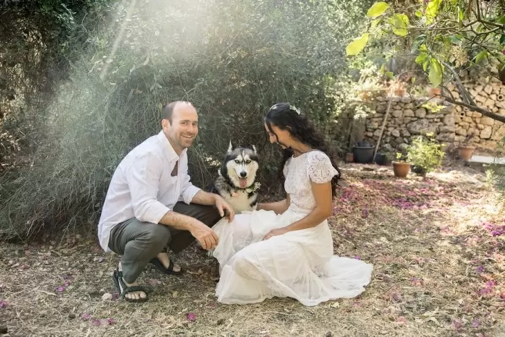 תמונה מספר 2