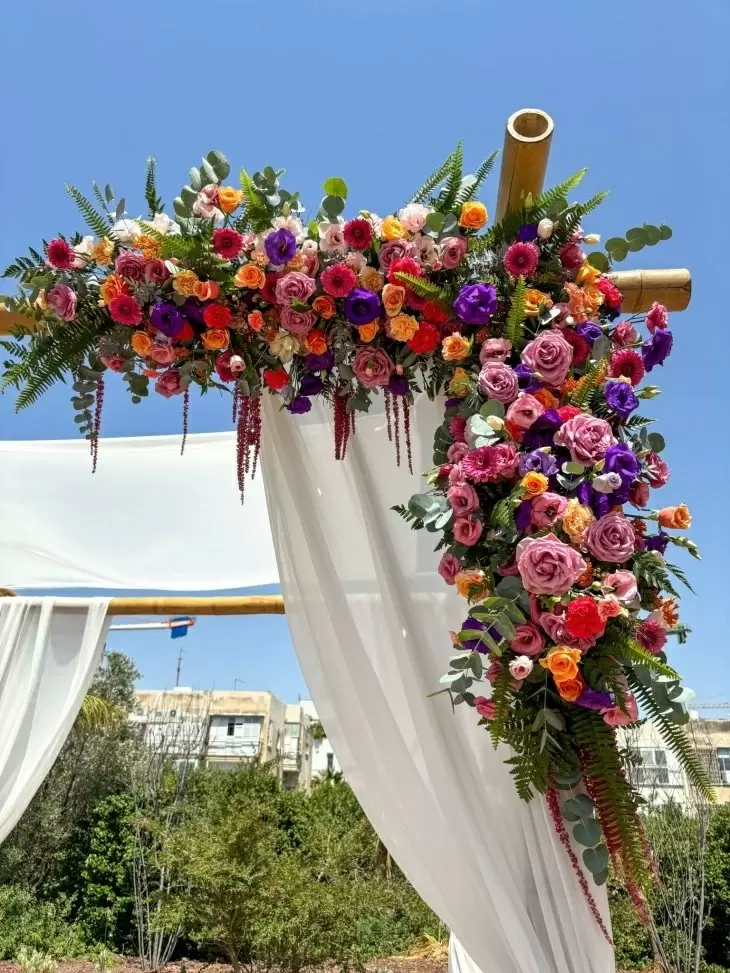 תמונה מספר 7