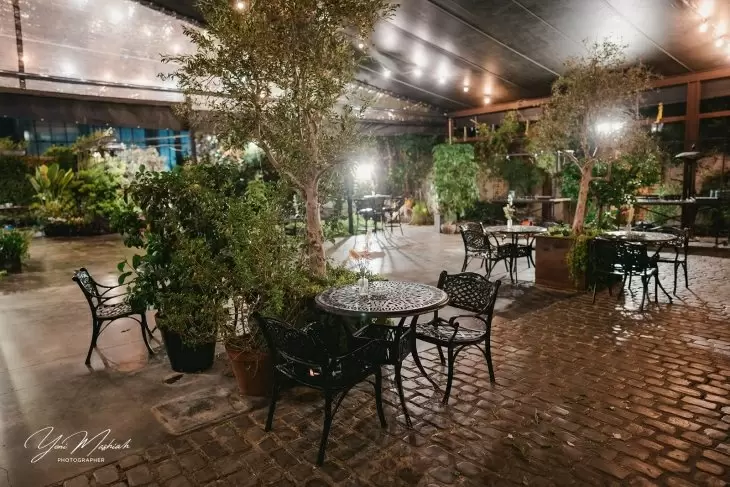 תמונה מספר 4