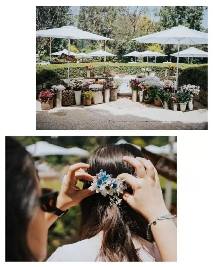 review gallery