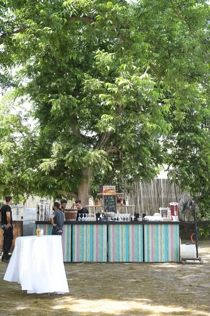 תמונה מספר 14