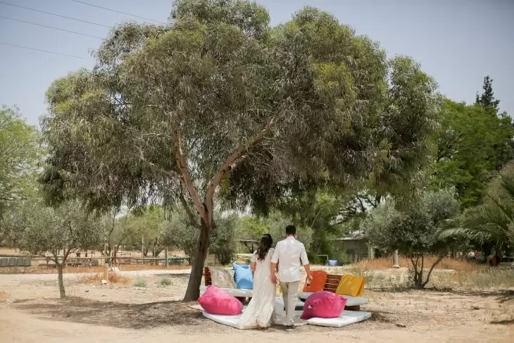 תמונה מספר 2