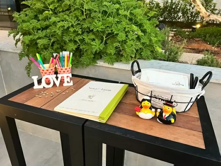 תמונה מספר 2
