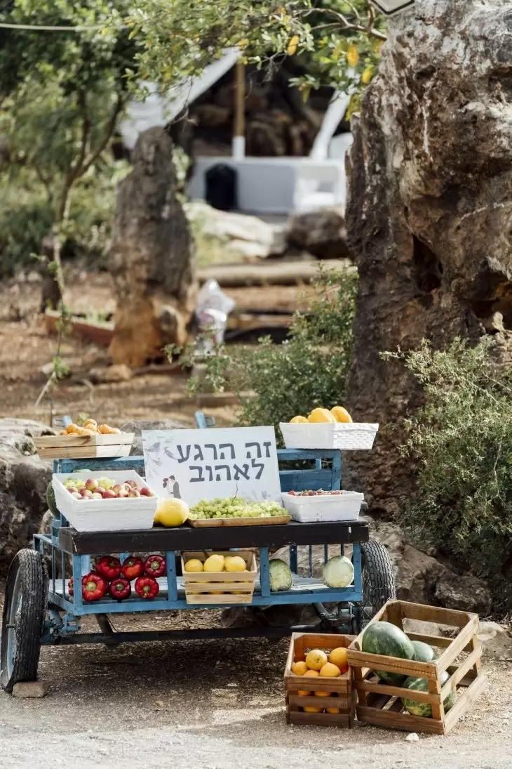תמונה מספר 1