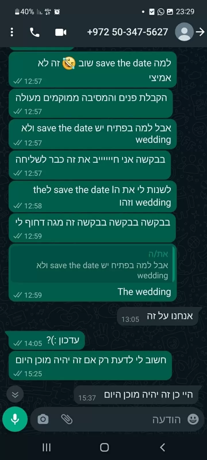 תמונה מספר 5