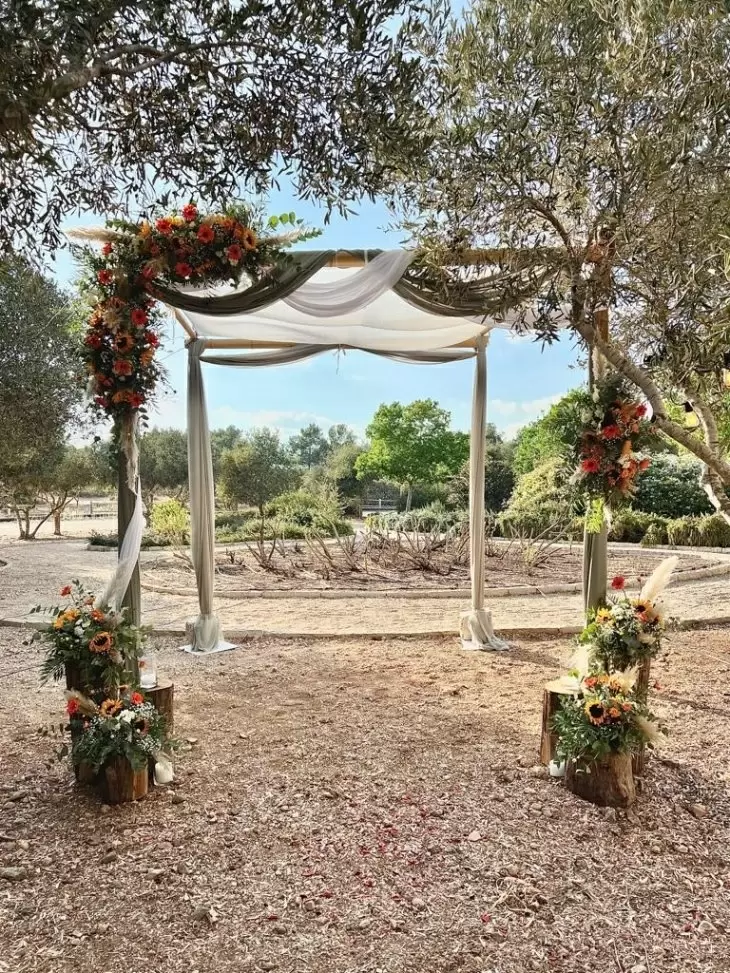 תמונה מספר 4