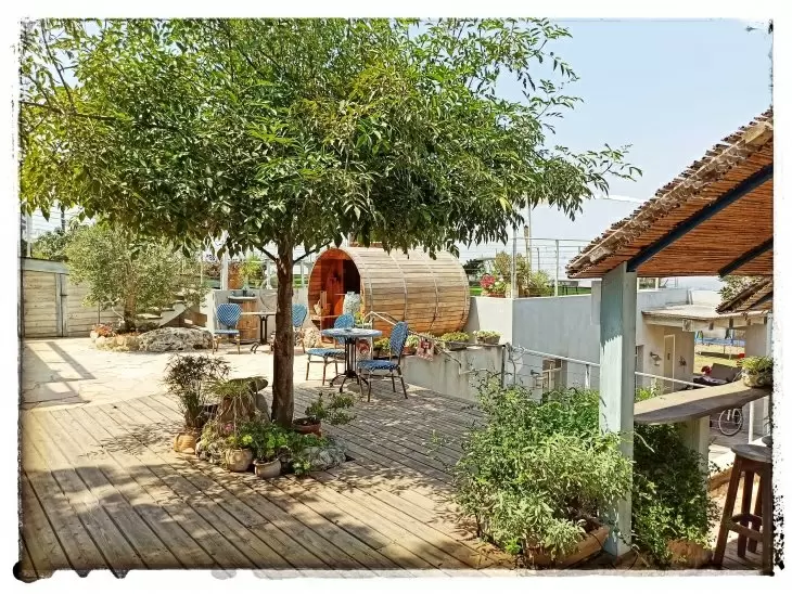 תמונה מספר 2