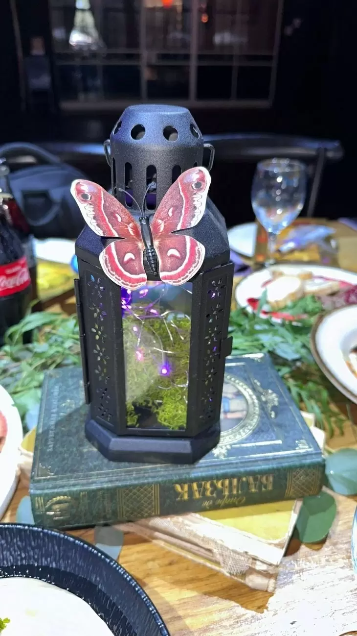 תמונה מספר 10