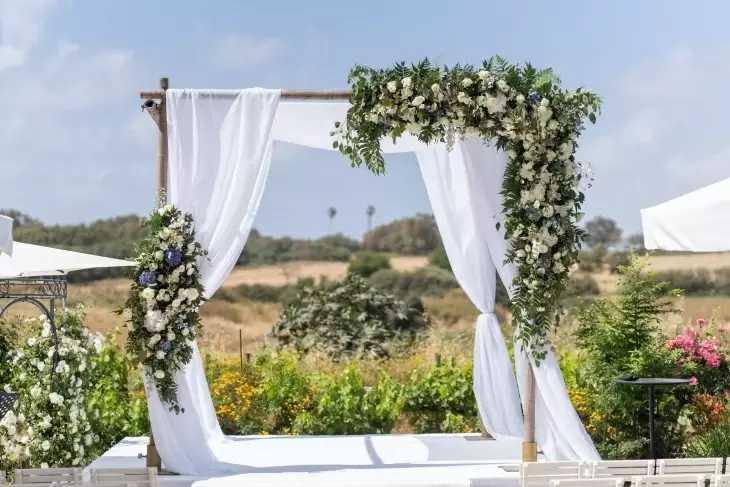 תמונה מספר 3