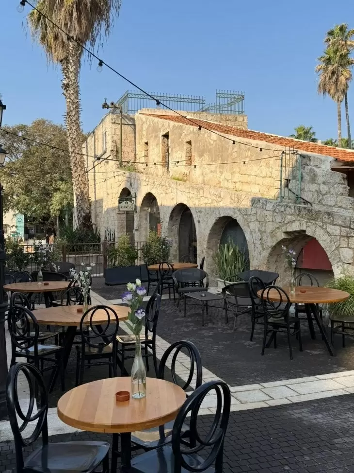 תמונה מספר 2