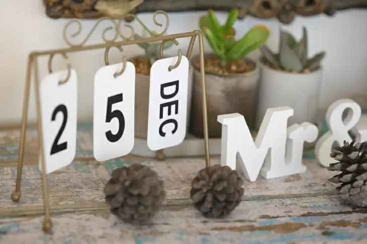 תמונה מספר 4