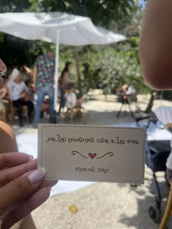 תמונה מספר 1