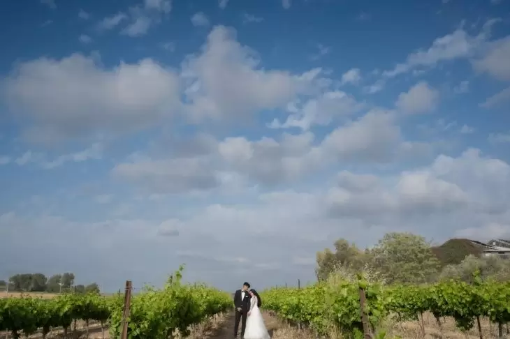 תמונה מספר 5