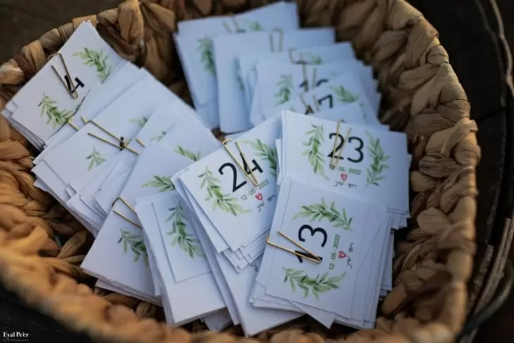 תמונה מספר 6