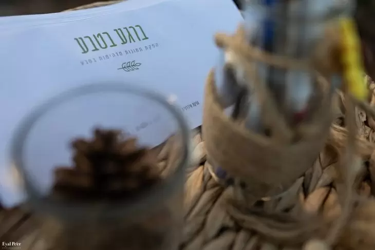 תמונה מספר 7