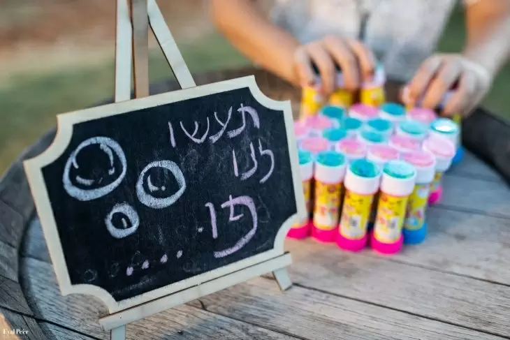 תמונה מספר 11