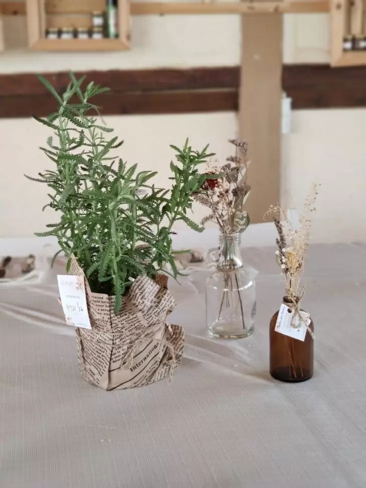 תמונה מספר 1