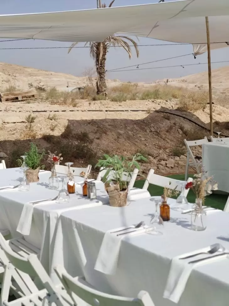 תמונה מספר 8