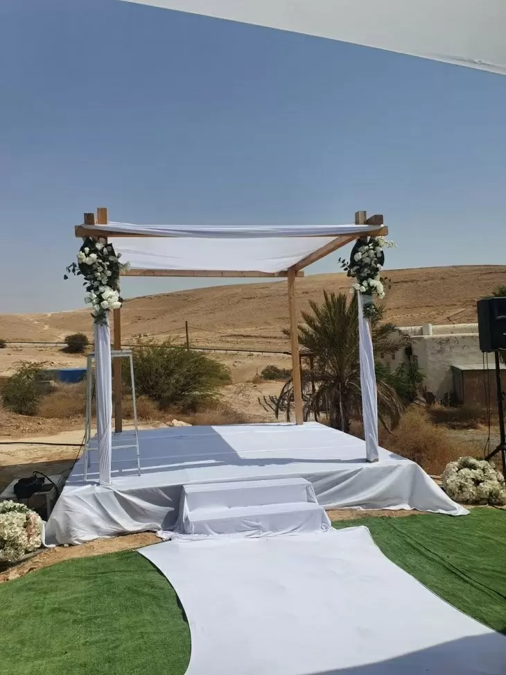 תמונה מספר 9