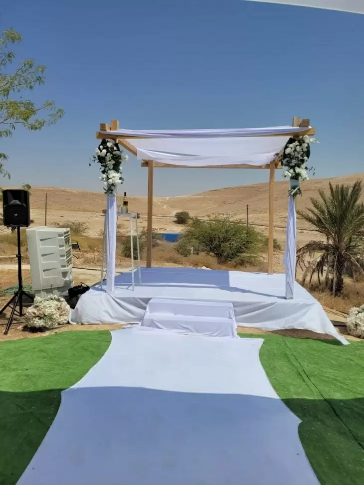 תמונה מספר 11