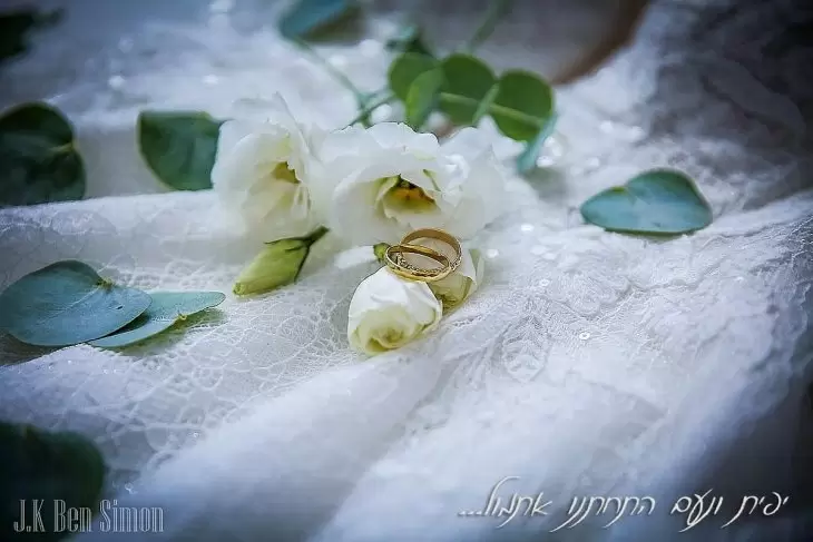 תמונה מספר 2