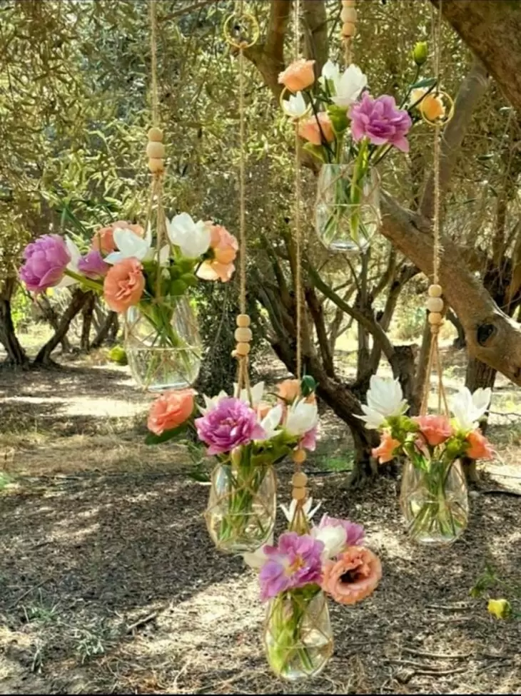 תמונה מספר 4