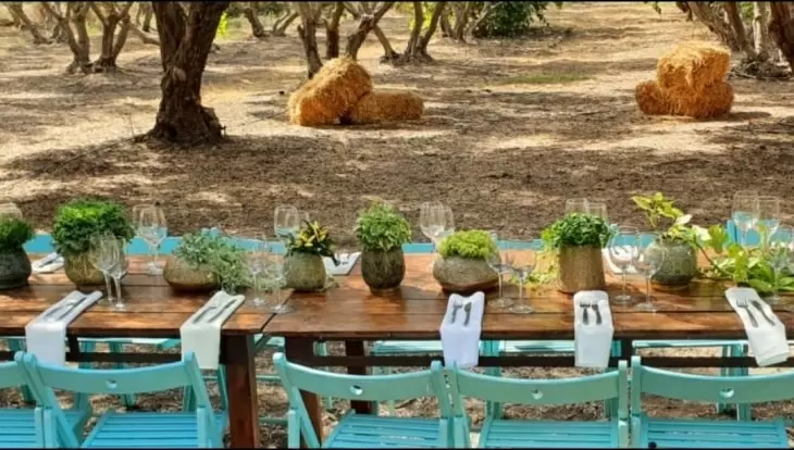 תמונה מספר 8