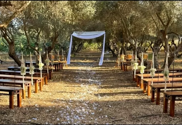 תמונה מספר 10