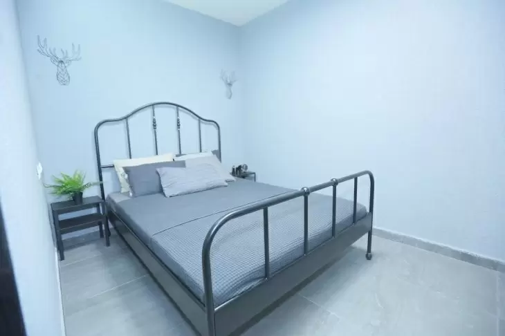 תמונה מספר 2