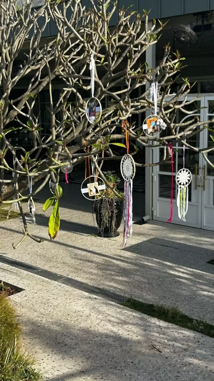 תמונה מספר 3
