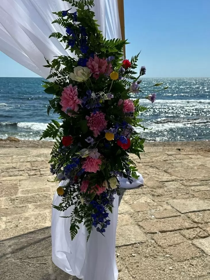 תמונה מספר 1