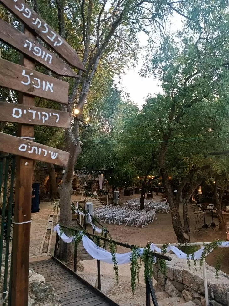 תמונה מספר 4