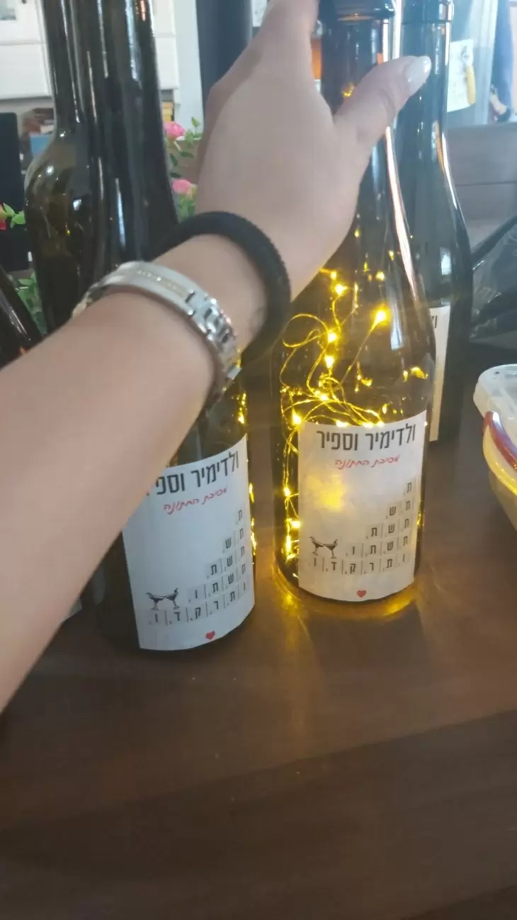 תמונה מספר 2